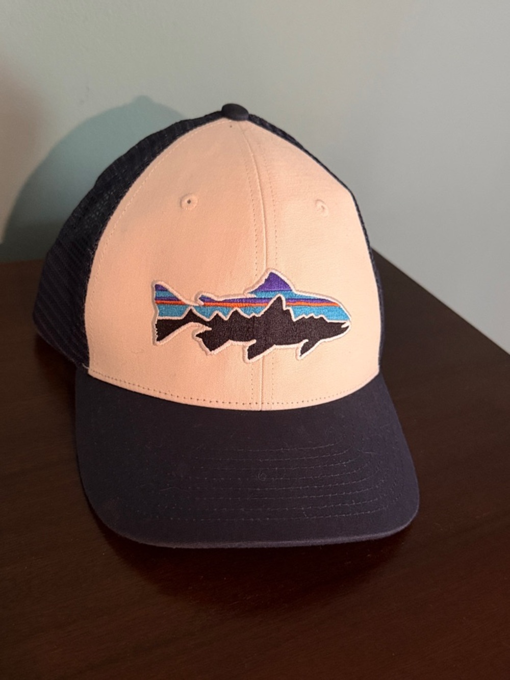 Patagonia hat